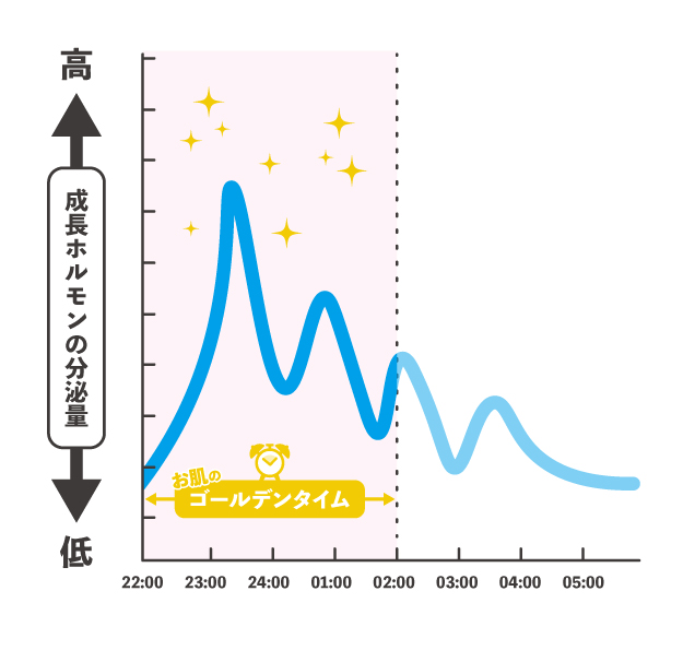 成長ホルモン図