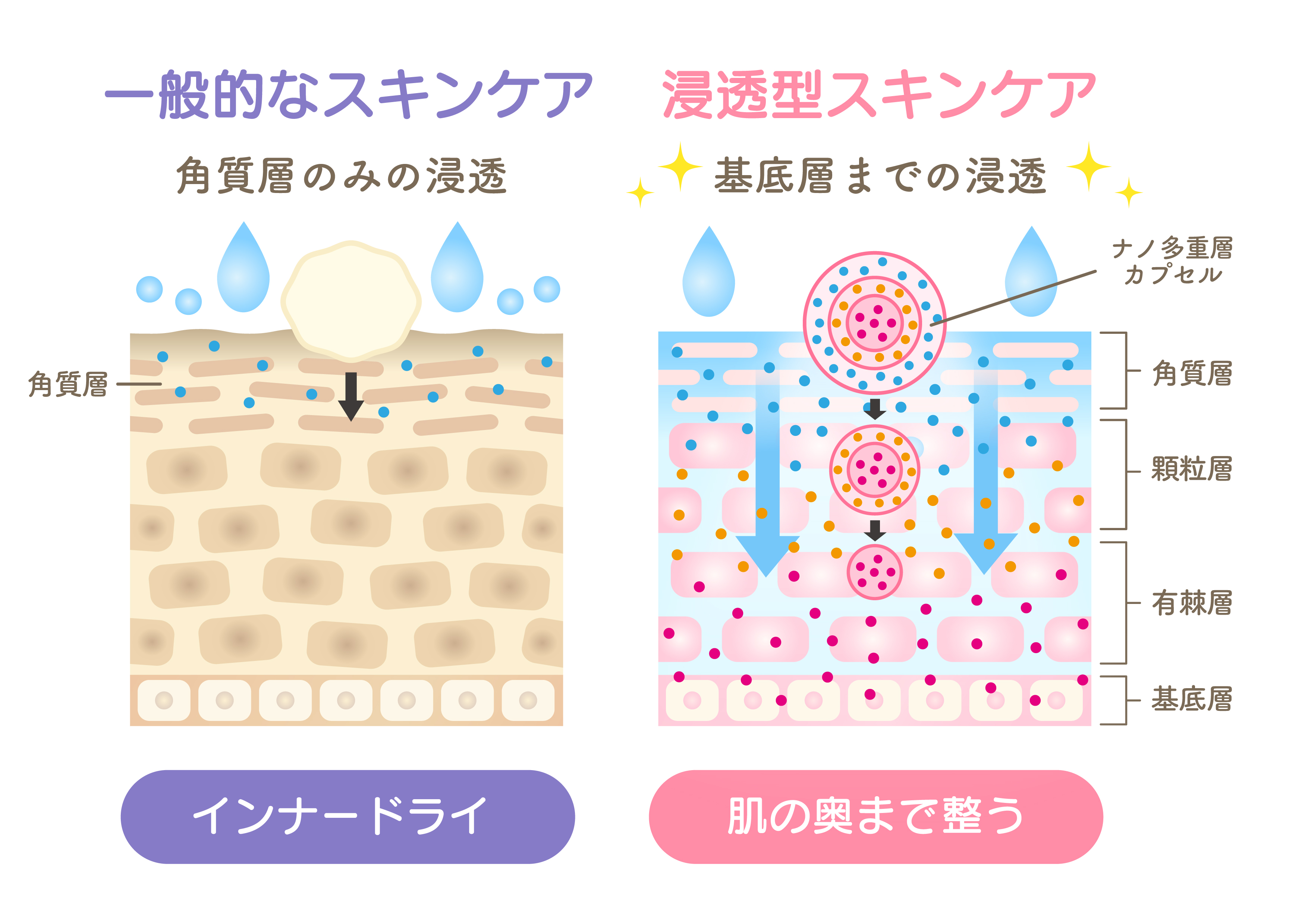 一般的なスキンケアと浸透型スキンケアの比較図-02