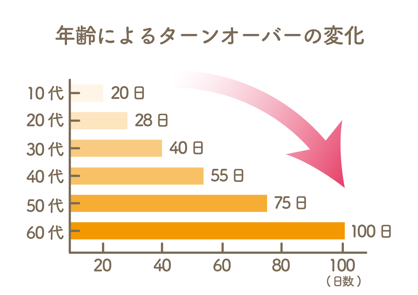 年齢によるターンオーバーの変化グラフ